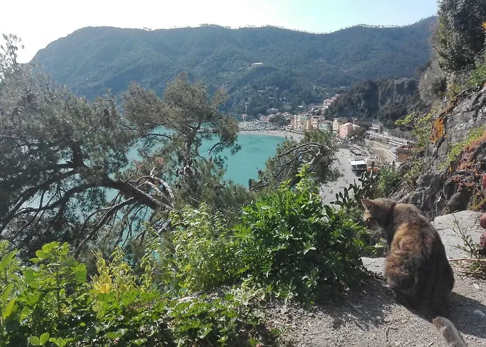Il Sogno Apartments